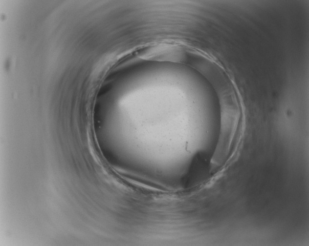 X0000051860097200507081833