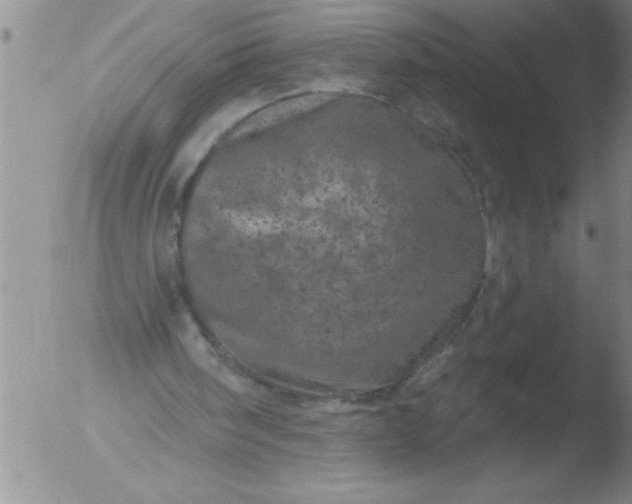 X0000051860098200507081833