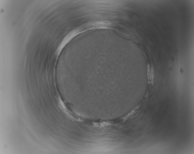 X0000051860099200507081833