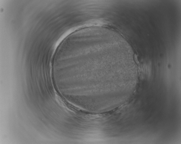 X0000051860100200507081833