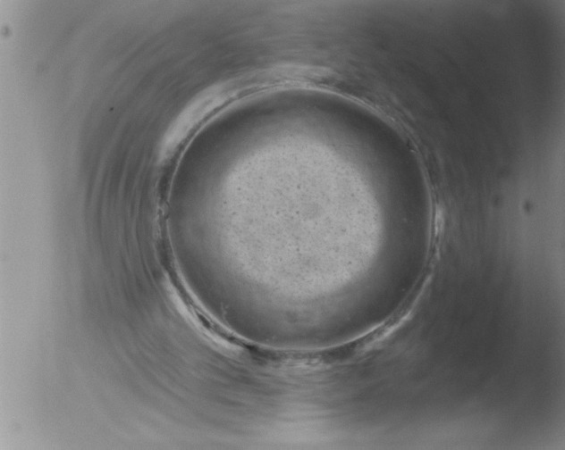 X0000051860101200507081833