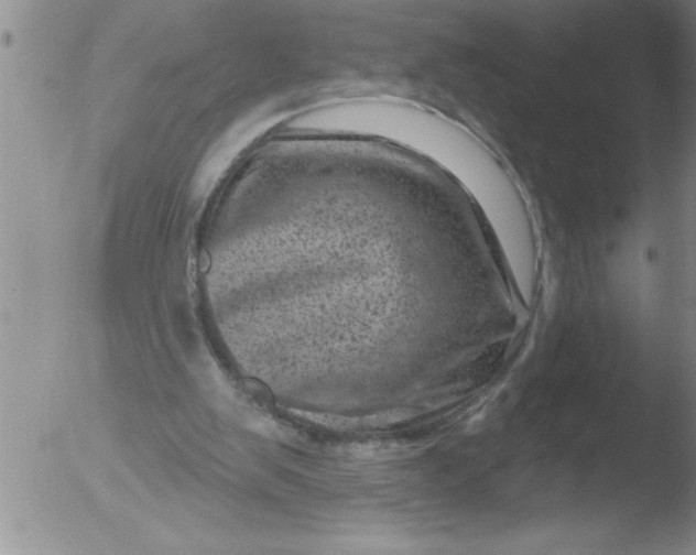 X0000051860103200507081833