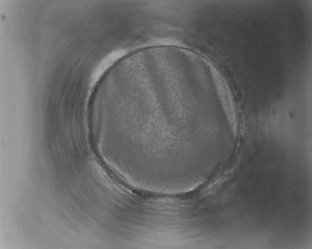 X0000051860104200507081833