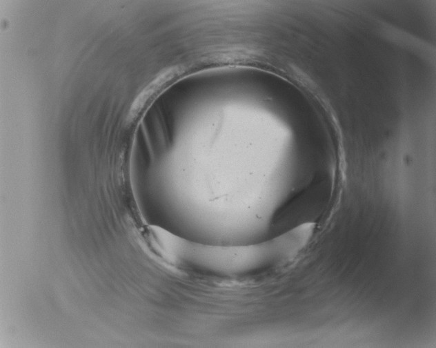 X0000051860105200507081833