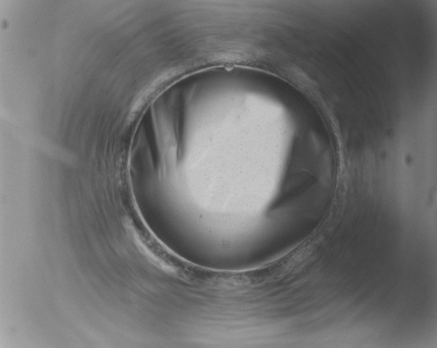 X0000051860106200507081833