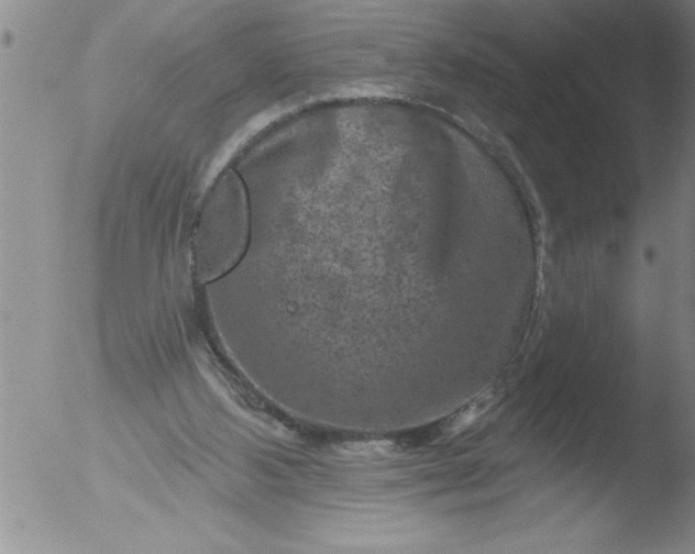 X0000051860108200507081833