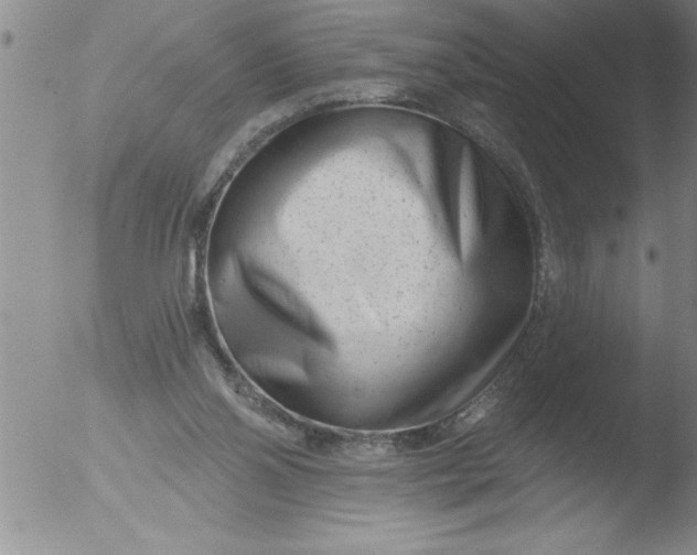 X0000051860110200507081832