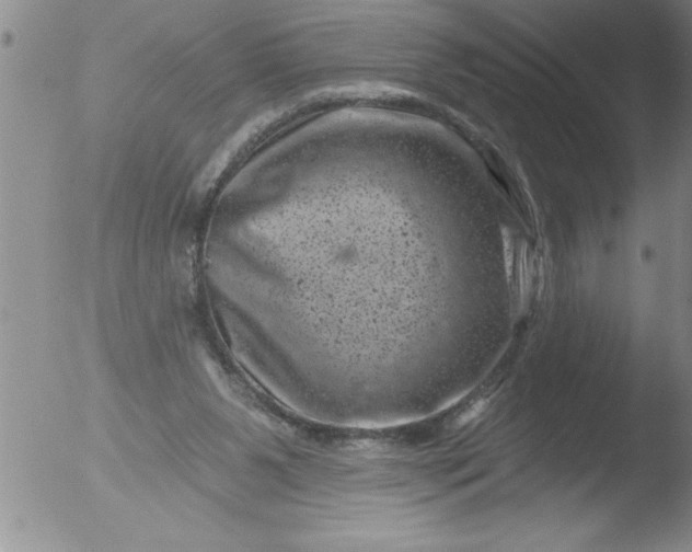 X0000051860111200507081832