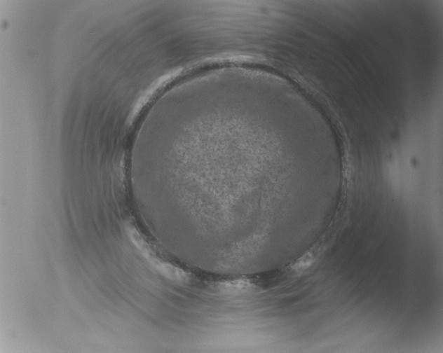 X0000051860112200507081832