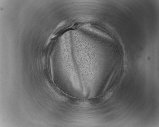 X0000051860113200507081832