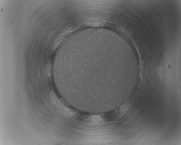 X0000051860114200507081832