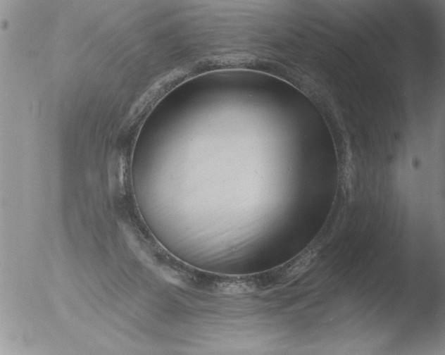 X0000051860115200507081832