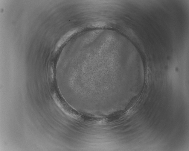 X0000051860116200507081832