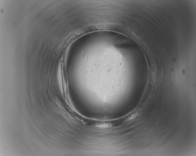 X0000051860117200507081832