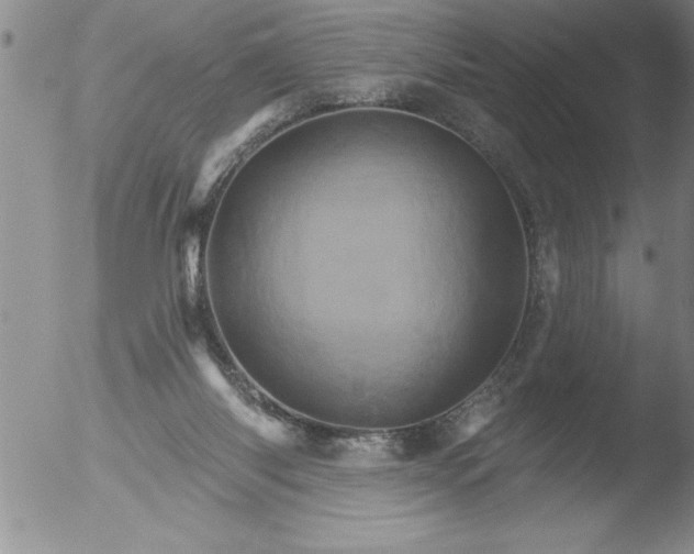 X0000051860118200507081832