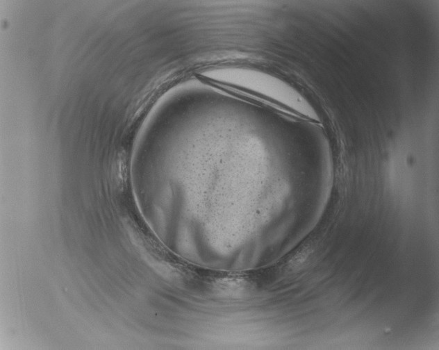 X0000051860119200507081832