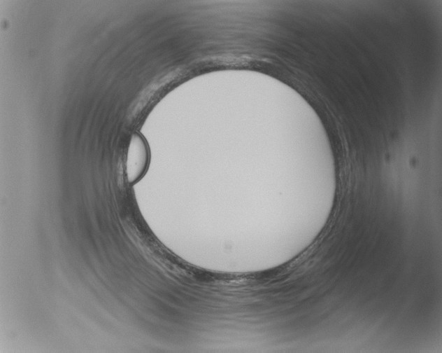 X0000051860120200507081832