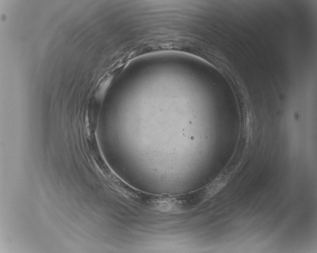 X0000051860121200507081832