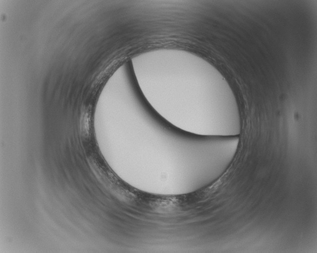 X0000051860124200507081832