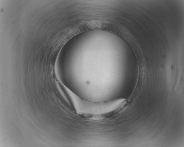 X0000051860125200507081832