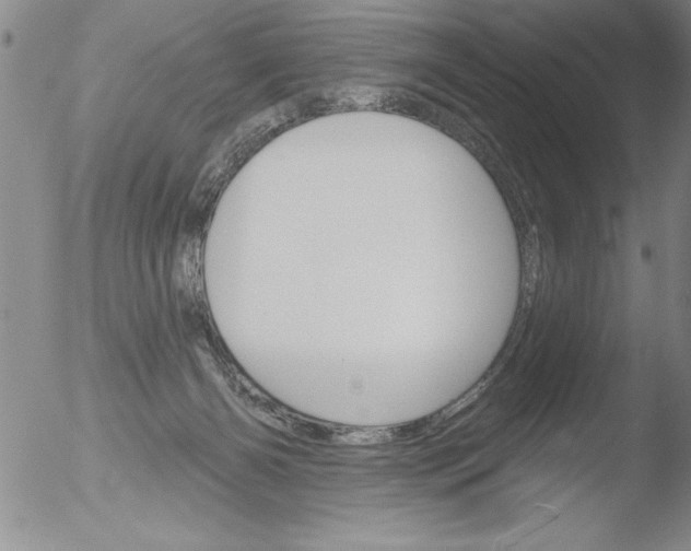 X0000051860126200507081832