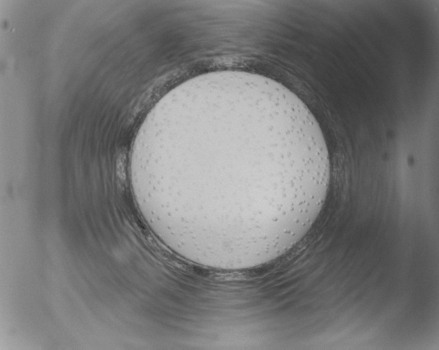 X0000051860127200507081832