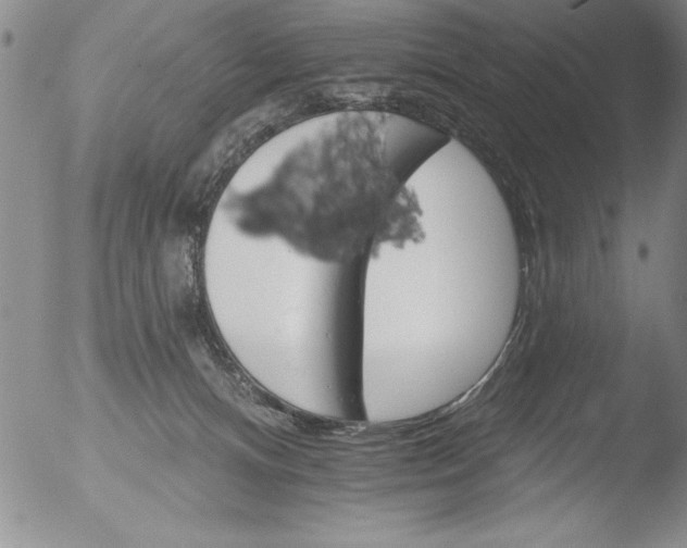 X0000051860128200507081832