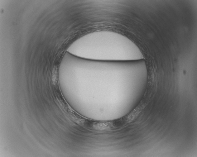 X0000051860129200507081832