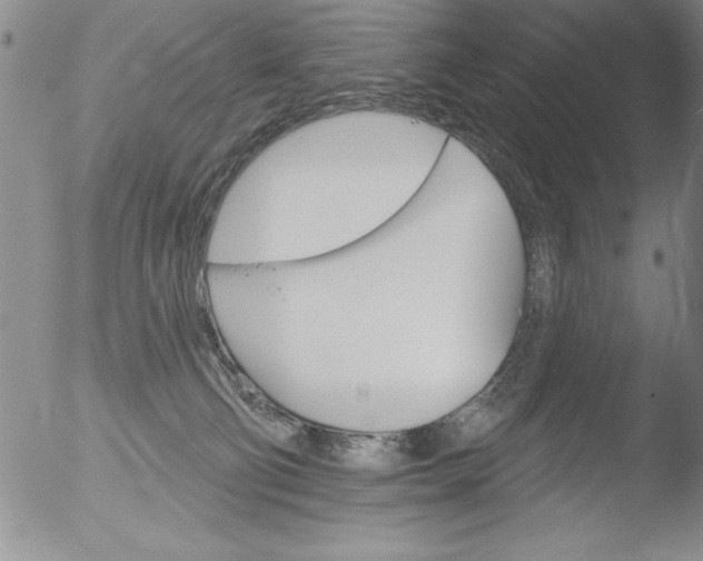 X0000051860130200507081832