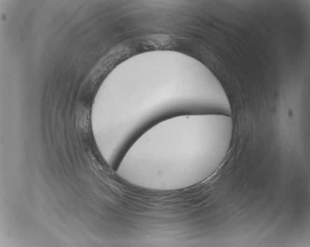 X0000051860132200507081832