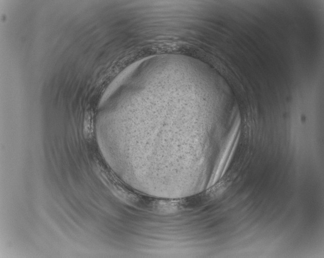 X0000051860134200507081832