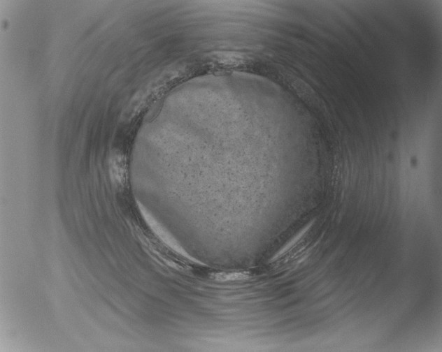 X0000051860135200507081832