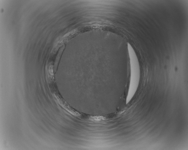 X0000051860137200507081832