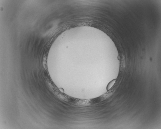 X0000051860138200507081832