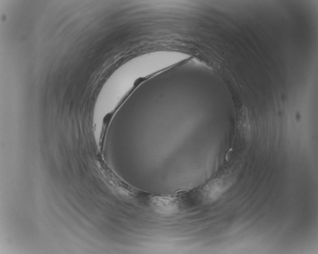 X0000051860139200507081832