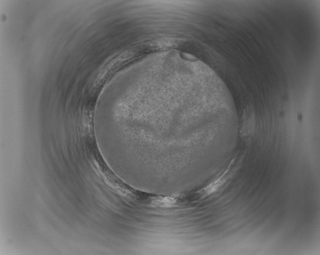 X0000051860140200507081832