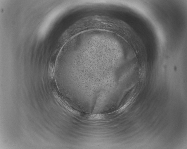 X0000051860142200507081832