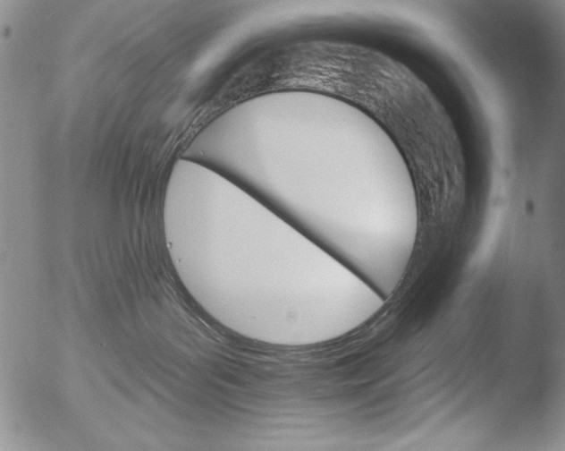 X0000051860143200507081832