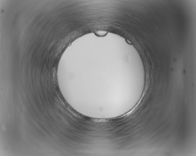 X0000051860144200507081832