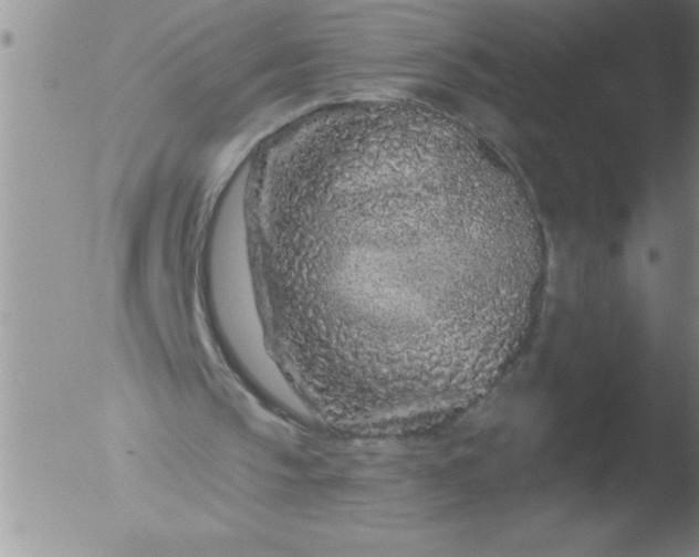 X0000051860145200507081831