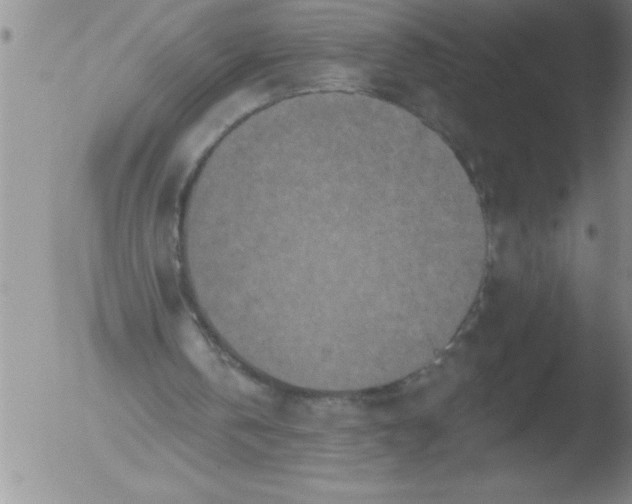 X0000051860146200507081831