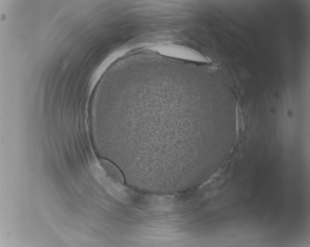 X0000051860147200507081831