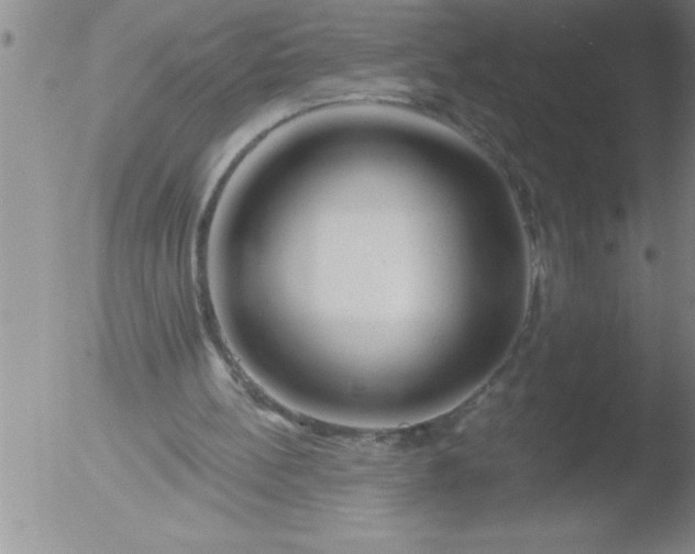 X0000051860148200507081831