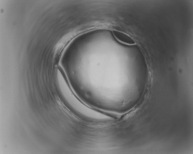 X0000051860149200507081831