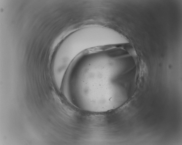 X0000051860150200507081831