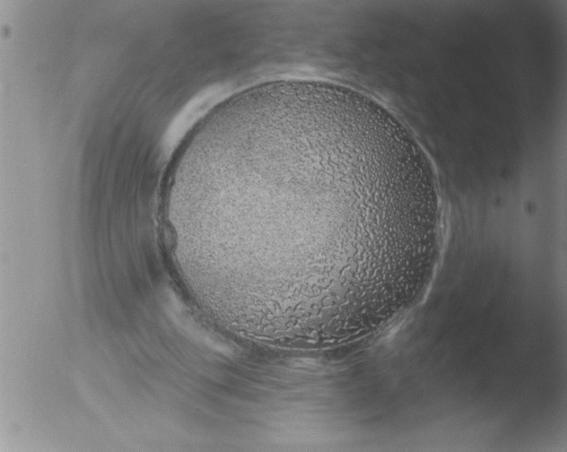 X0000051860151200507081831