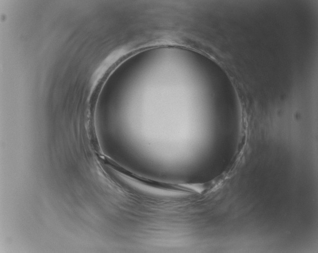 X0000051860152200507081831