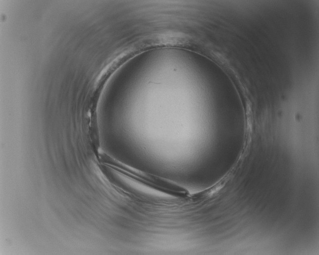 X0000051860154200507081831