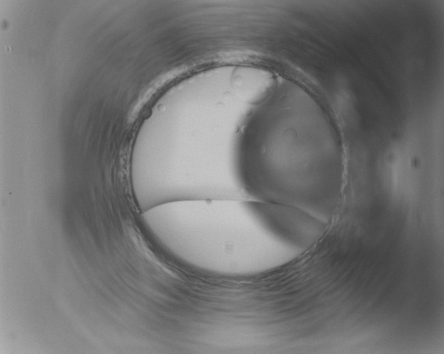 X0000051860155200507081831