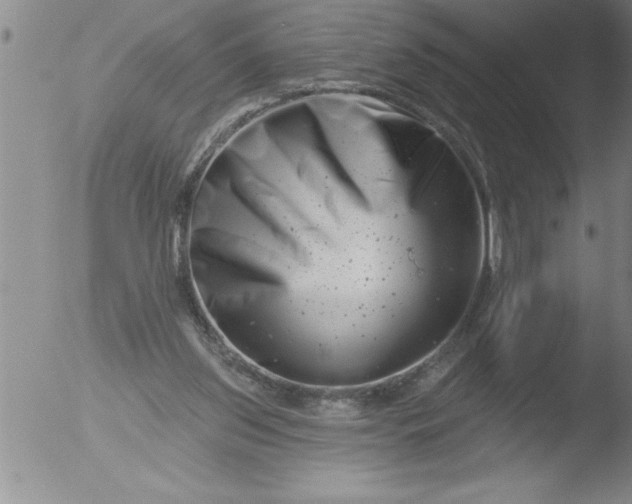 X0000051860157200507081831